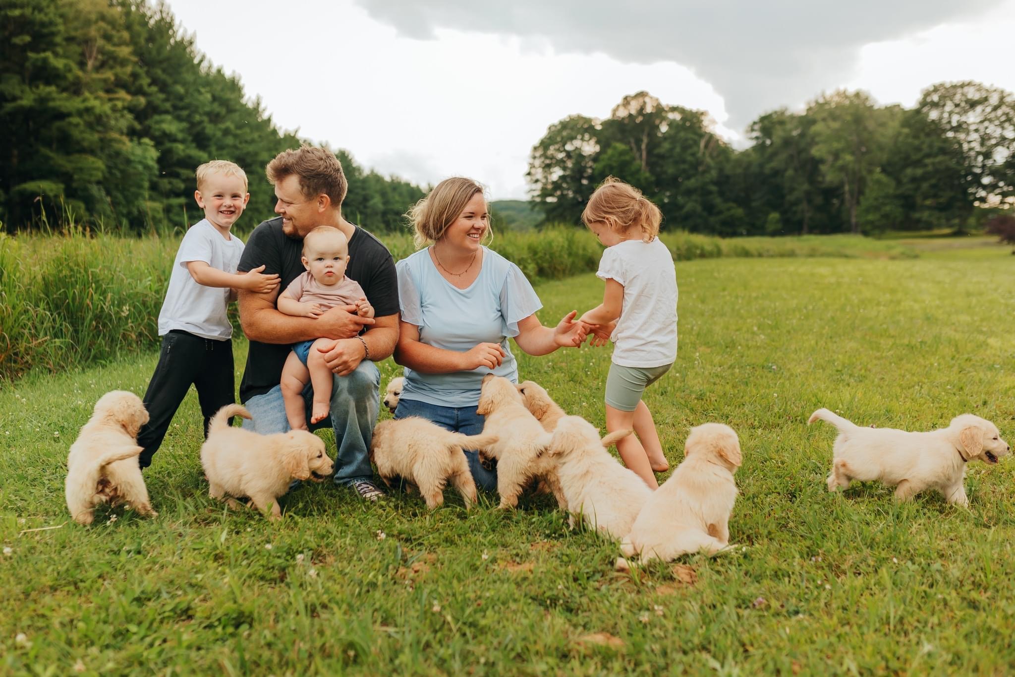 The Yoder Family with their Golden Retriever Puppies in a field.