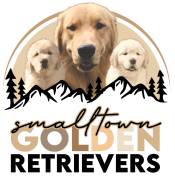 Small Town Golden Retrievers